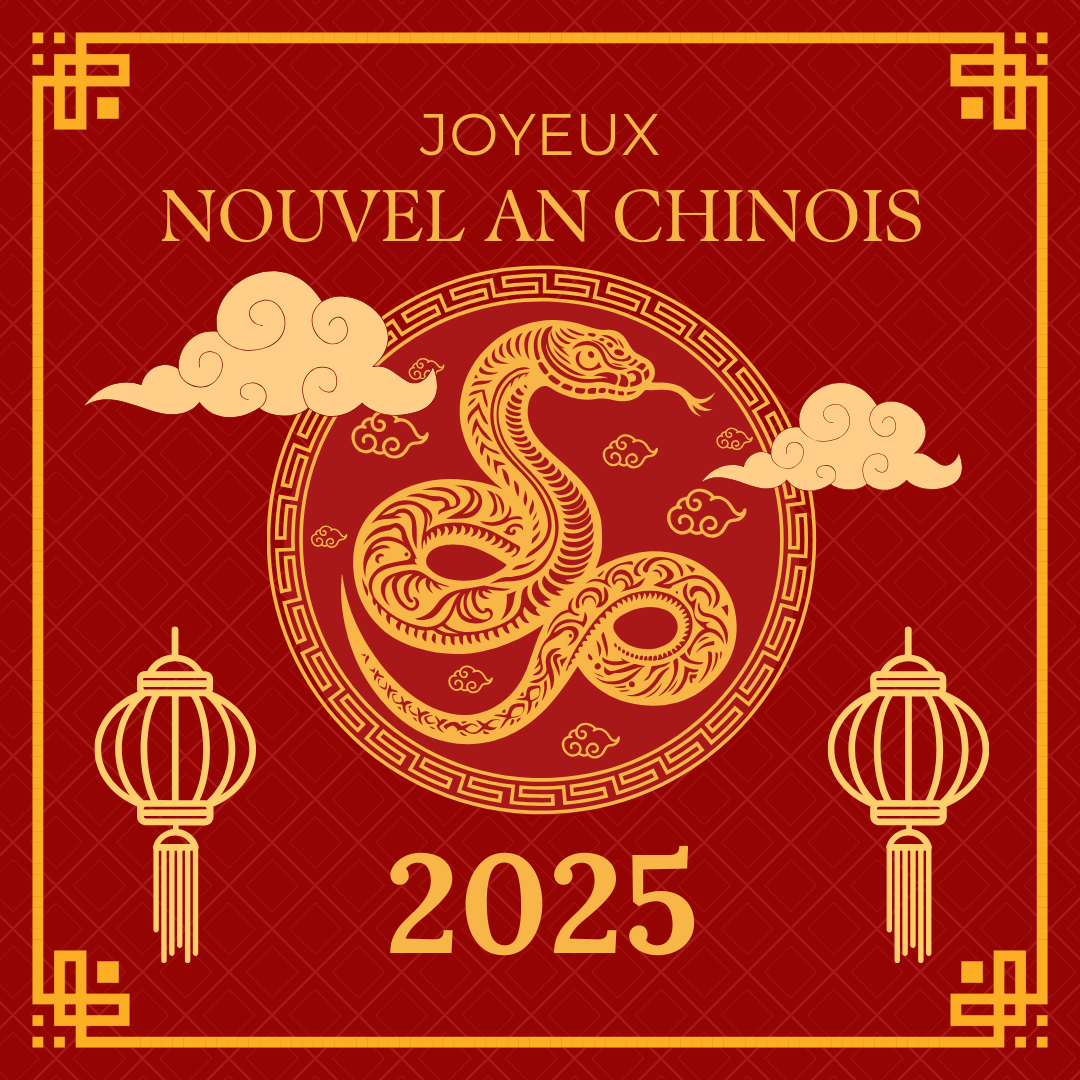 C L Brons Lann E Du Serpent De Bois Le Nouvel An Chinois S Pace