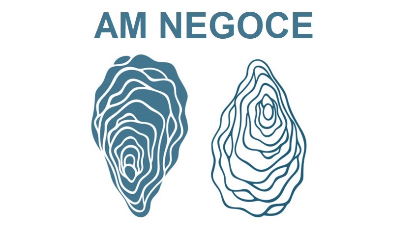 AM NEGOCE