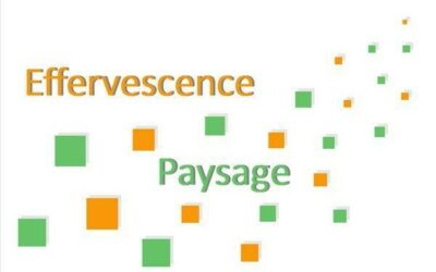 EFFERVESCENCE PAYSAGE