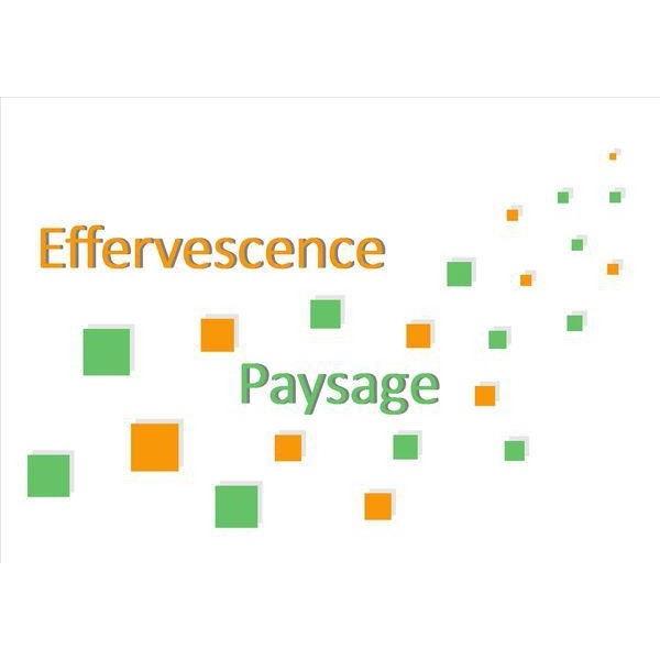 EFFERVESCENCE PAYSAGE