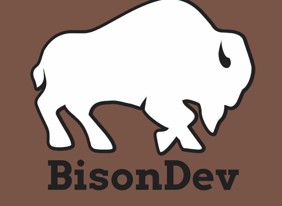 BRUNO CARTIER – BISON DEV