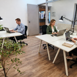 Bureau Sydney